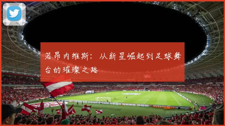 若昂内维斯：从新星崛起到足球舞台的璀璨之路